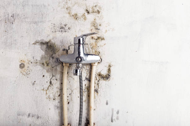 Mold Removal and Inspection in Wyandanch, NY