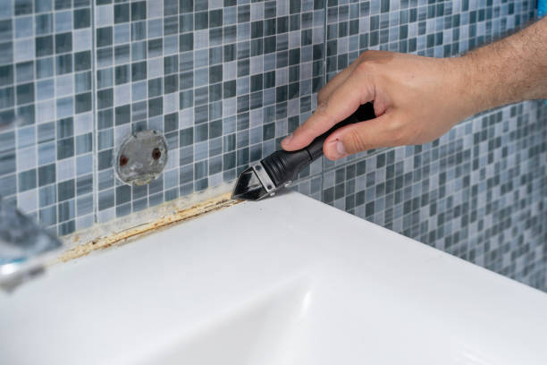Best Certified Mold Removal  in Wyandanch, NY