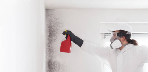 Best Mold Removal Process  in Wyandanch, NY