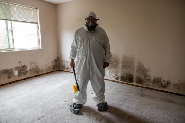 Office Mold Removal Services in Wyandanch, NY